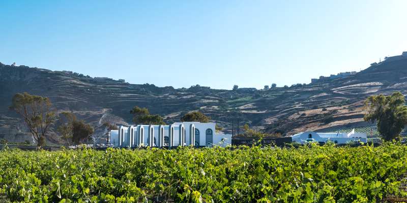 ydronefosi oinopoieia argyros 4