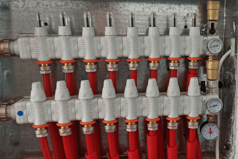 endodapedia thermansi 01