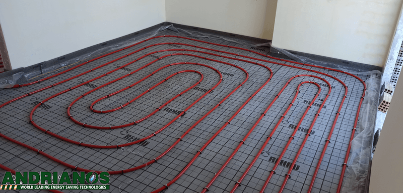 endodapedia thermansi 03