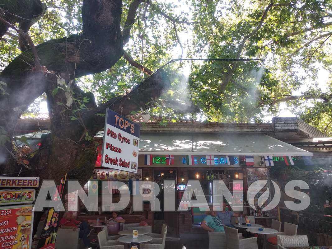 19 yronefosi olympia taverna DOYLAS