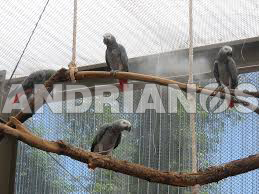 Συστήματα Υδρονέφωσης για εκτροφεία