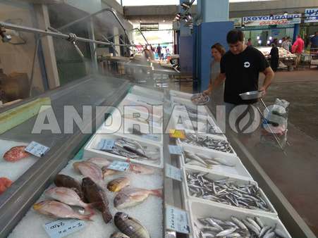 Συστήματα Υδρονέφωσης για ιχθυοπωλεία